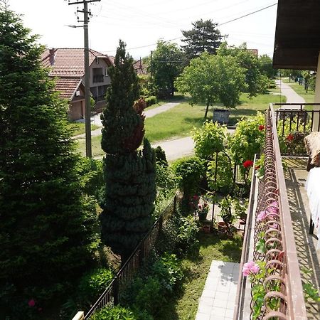 Etnobubi Apartamento Novi Sip Exterior foto
