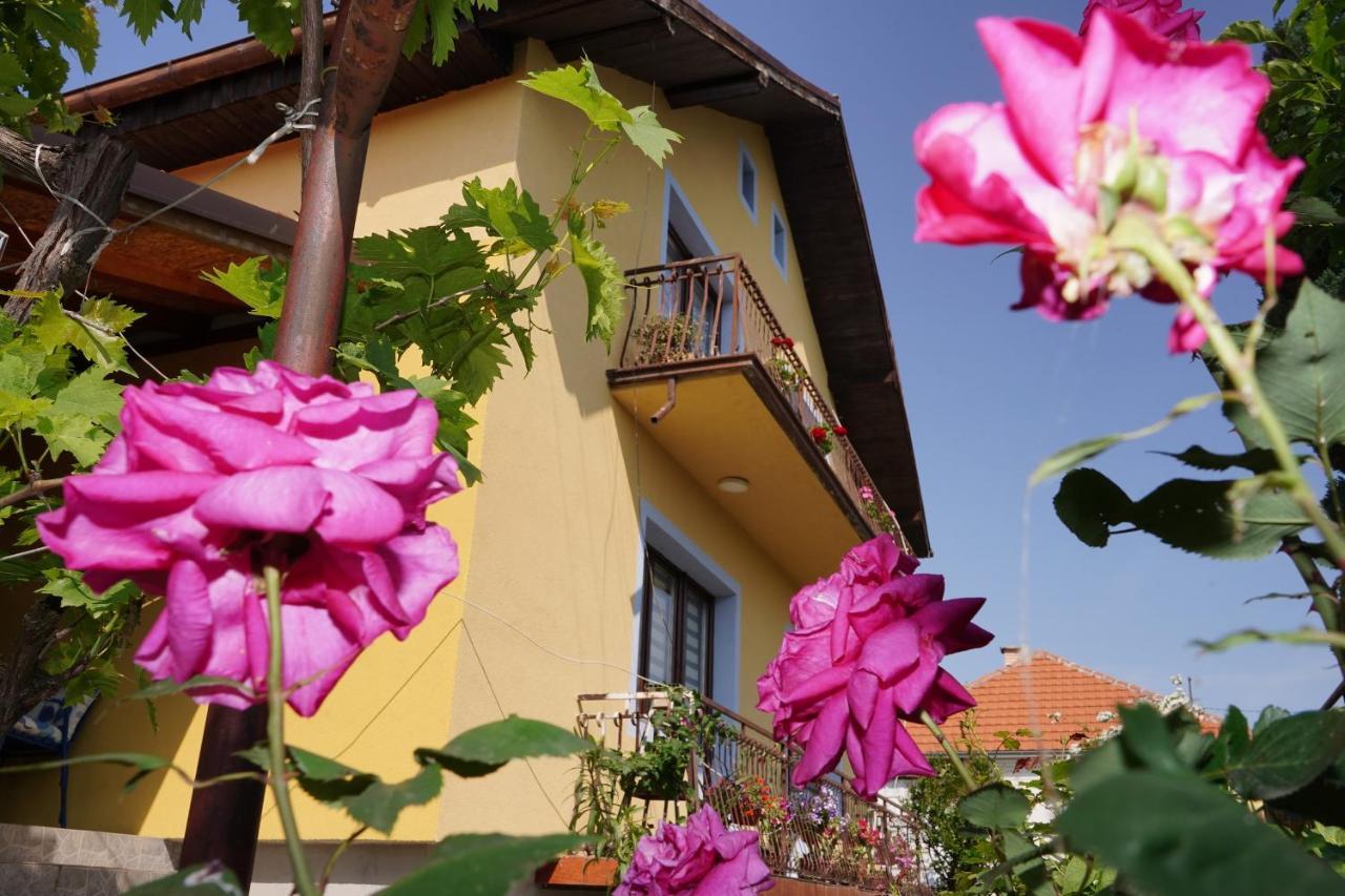 Etnobubi Apartamento Novi Sip Exterior foto