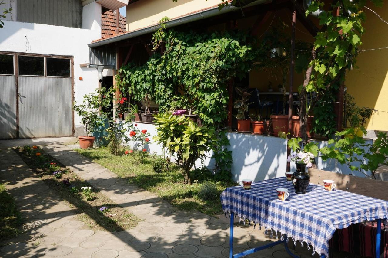 Etnobubi Apartamento Novi Sip Exterior foto
