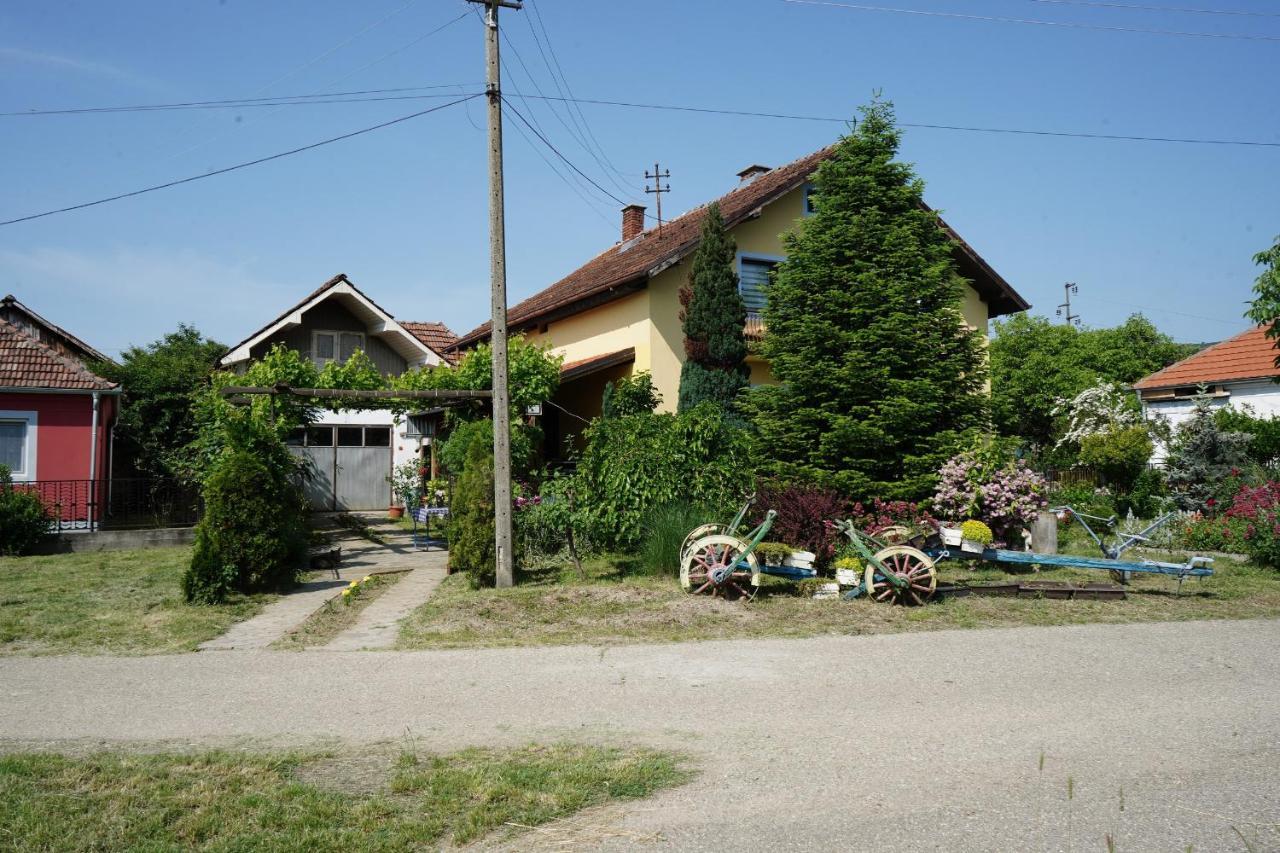 Etnobubi Apartamento Novi Sip Exterior foto