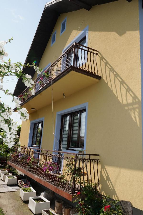 Etnobubi Apartamento Novi Sip Exterior foto