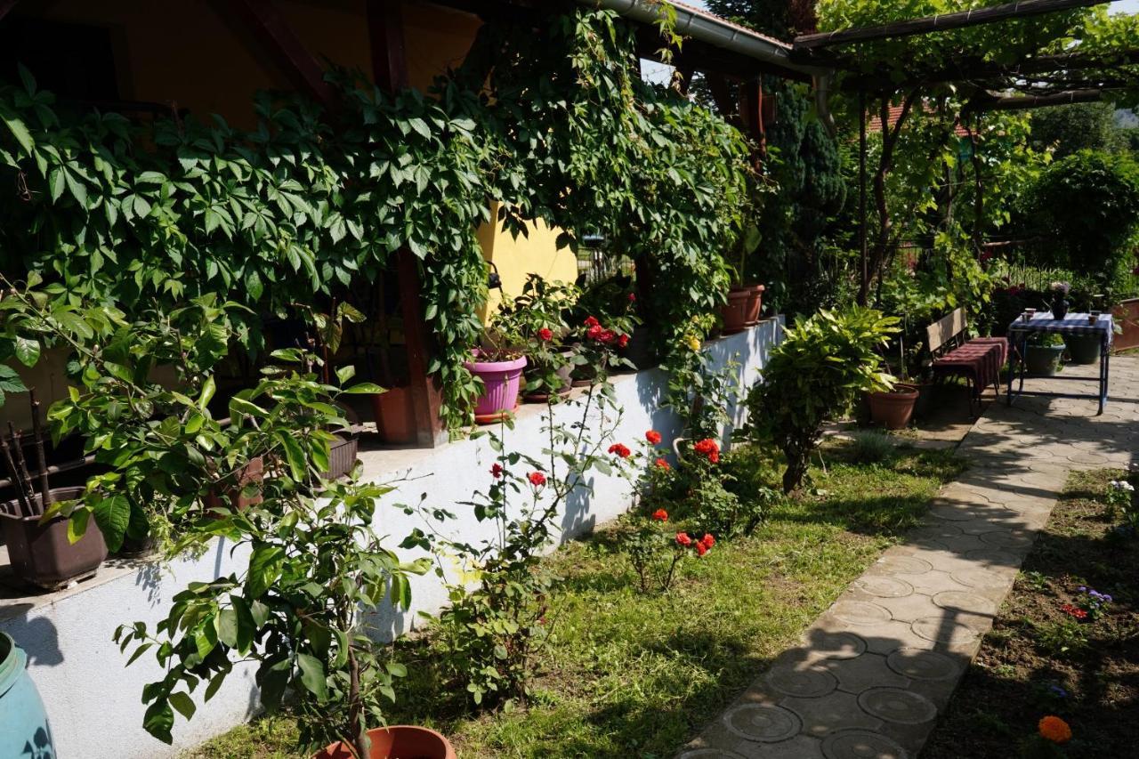 Etnobubi Apartamento Novi Sip Exterior foto