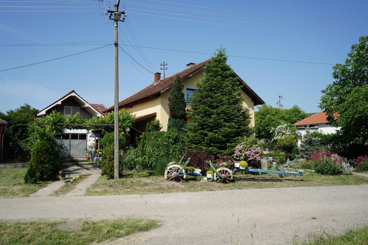 Etnobubi Apartamento Novi Sip Exterior foto