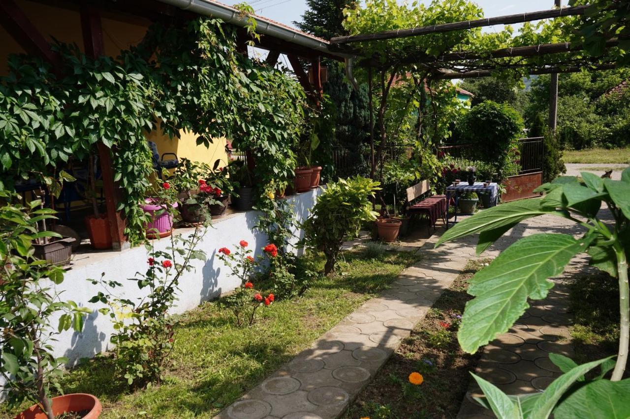 Etnobubi Apartamento Novi Sip Exterior foto
