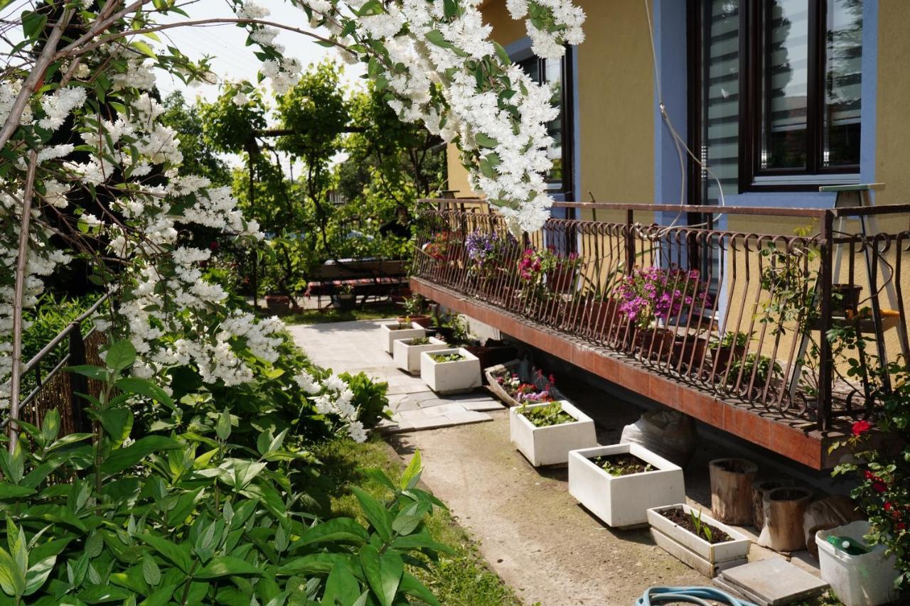 Etnobubi Apartamento Novi Sip Exterior foto