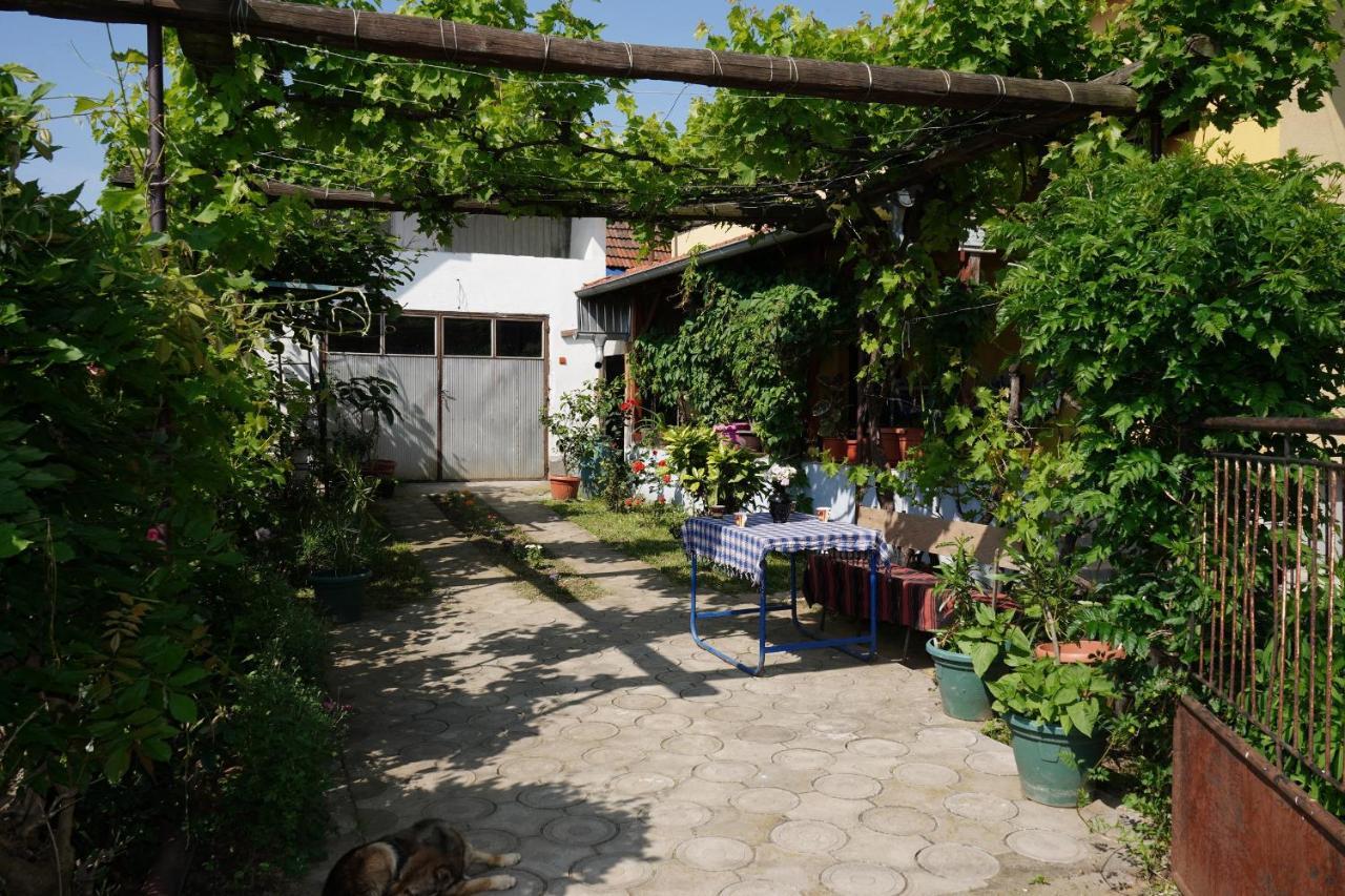 Etnobubi Apartamento Novi Sip Exterior foto