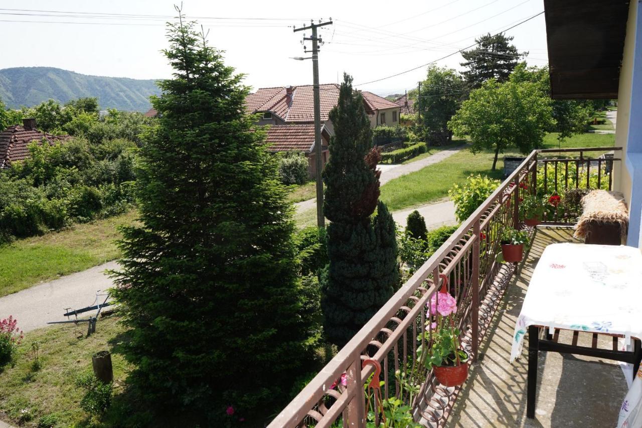 Etnobubi Apartamento Novi Sip Exterior foto
